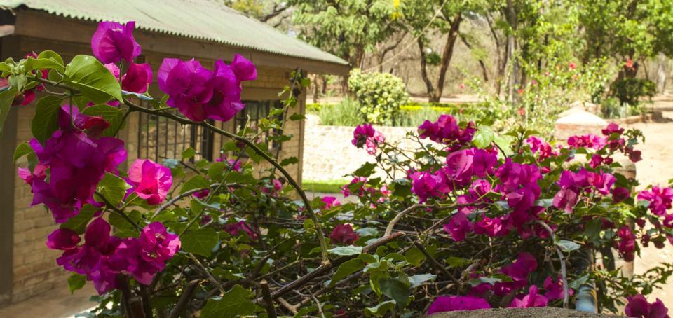 Woodlands Lilongwe Hotel Eksteriør billede