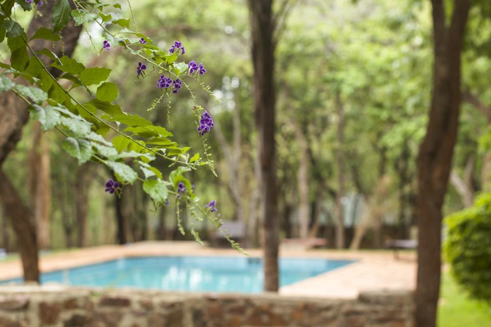 Woodlands Lilongwe Hotel Eksteriør billede